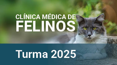  2025 | Clínica Médica de Felinos