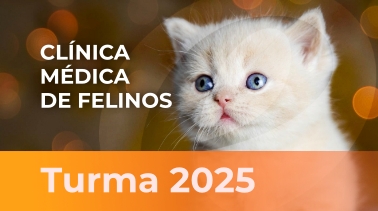  2025 | Clínica Médica de Felinos