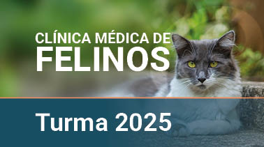  2025 | Clínica Médica de Felinos