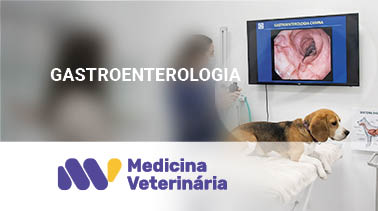 Gastroenterologia