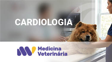 Cardiologia