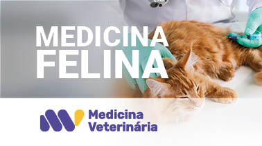 Medicina Felina