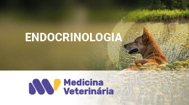 Endocrinologia 