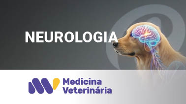 Neurologia 