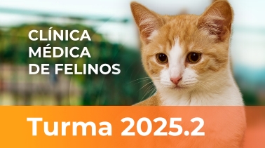 2025.2 | Clínica Médica de Felinos