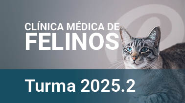 2025.2 | Clínica Médica de Felinos