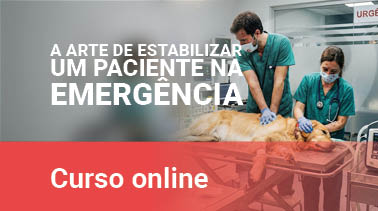 A Arte de Estabilizar um Paciente na Urgência