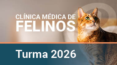  2026 | Clínica Médica de Felinos