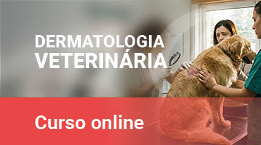Curso Dermatologia Veterinária