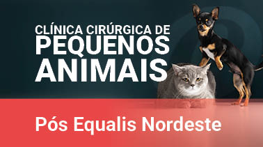 2026 | Clínica Cirúrgica de Pequenos Animais NE