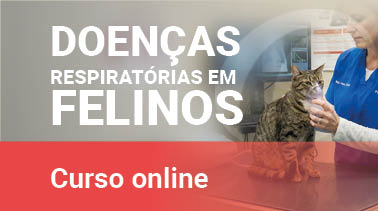 Doenças Respiratórias em Felinos