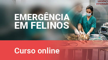 Emergências em Felinos