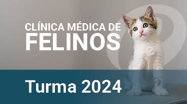 2024 | Clínica Médica de Felinos