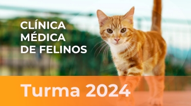 2024 | Clínica Médica de Felinos