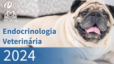 2024 | Endocrinologia Veterinária