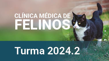  2024.2 | Clínica Médica de Felinos