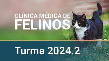  2024.2 | Clínica Médica de Felinos