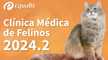  2024.2 | Clínica Médica de Felinos